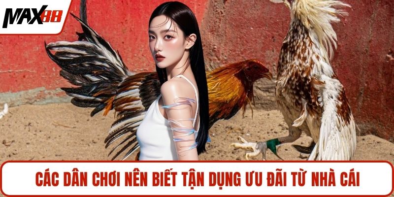 Các dân chơi nên biết tận dụng ưu đãi từ nhà cái