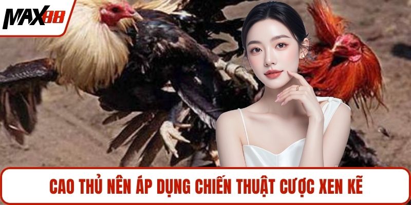 Cao thủ nên áp dụng chiến thuật cược xen kẽ 
