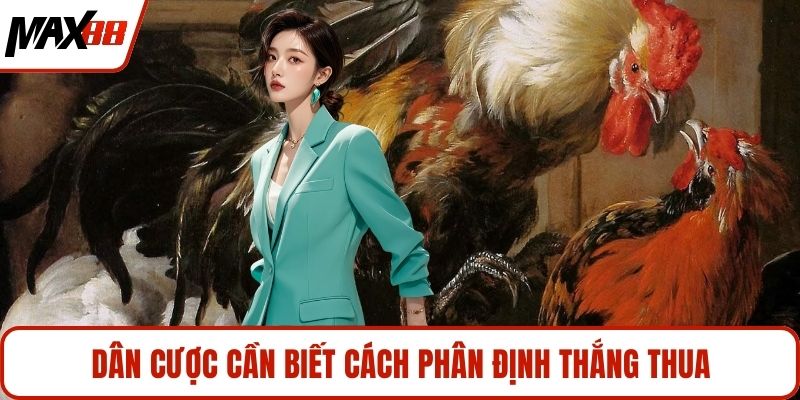 Dân cược cần biết cách phân định thắng thua