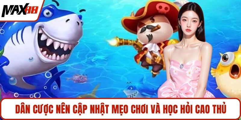 Dân cược nên cập nhật mẹo chơi và học hỏi cao thủ