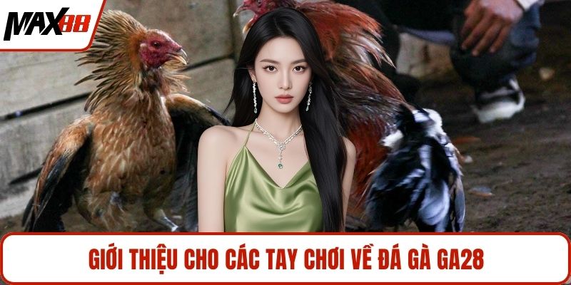 Giới thiệu cho các tay chơi về đá gà Ga28
